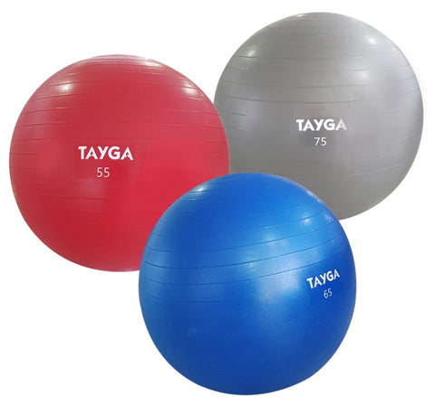 TAYGA BALON SUIZO 65 CM - 110 KG